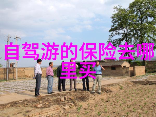 电影制作之旅  一次跨部门合作的小型影片项目