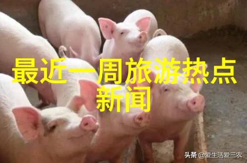 探索美食的上海我来告诉你这5家绝对要去试试的餐厅