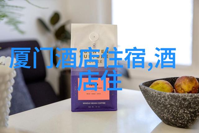 银发游子共赴旅途的欢声笑语