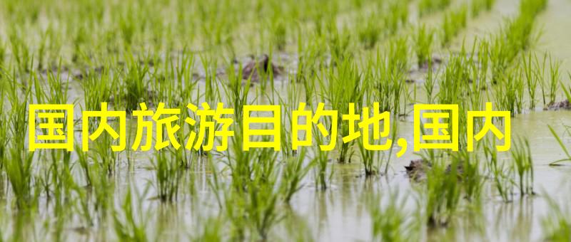 骑行群真的很乱吗骑行文化自行车安全道路共享