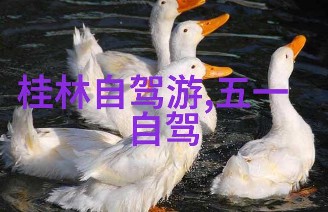 探索皖南川藏线自驾游的浪漫篇章
