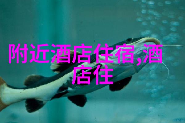 上海过年好玩地方上海春节活动