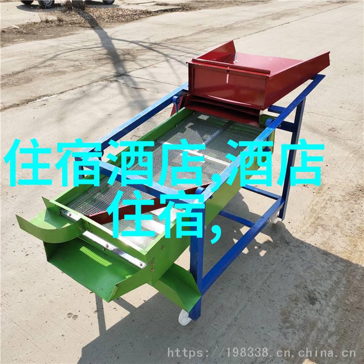 探秘张家界大峡谷云雾缭绕的天然奇观与古木参天的生态宝库