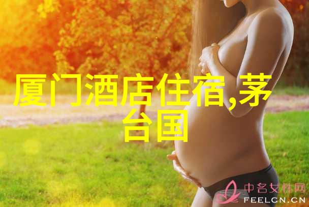 贵州自驾游攻略探索天地之精华的7到10日行程