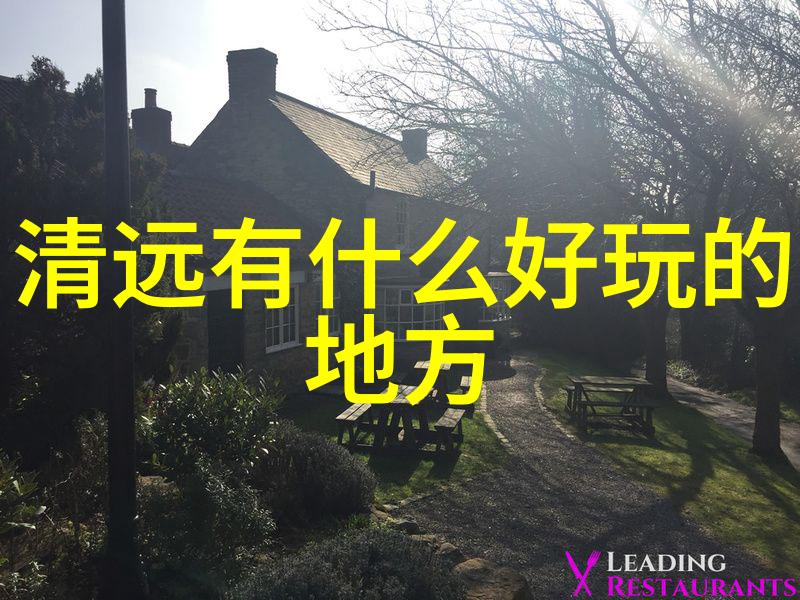 反复提及英国留学生未踏足伦敦经济学院的代购经历