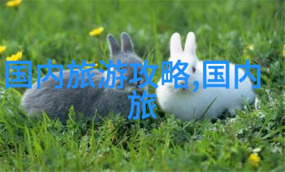 探索太原古城与平遥古镇的魅力之旅