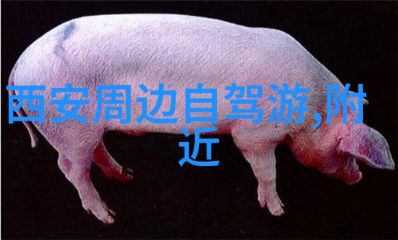 我们两个C的你舒服吗-心灵的和谐探索舒服的两种生活态度