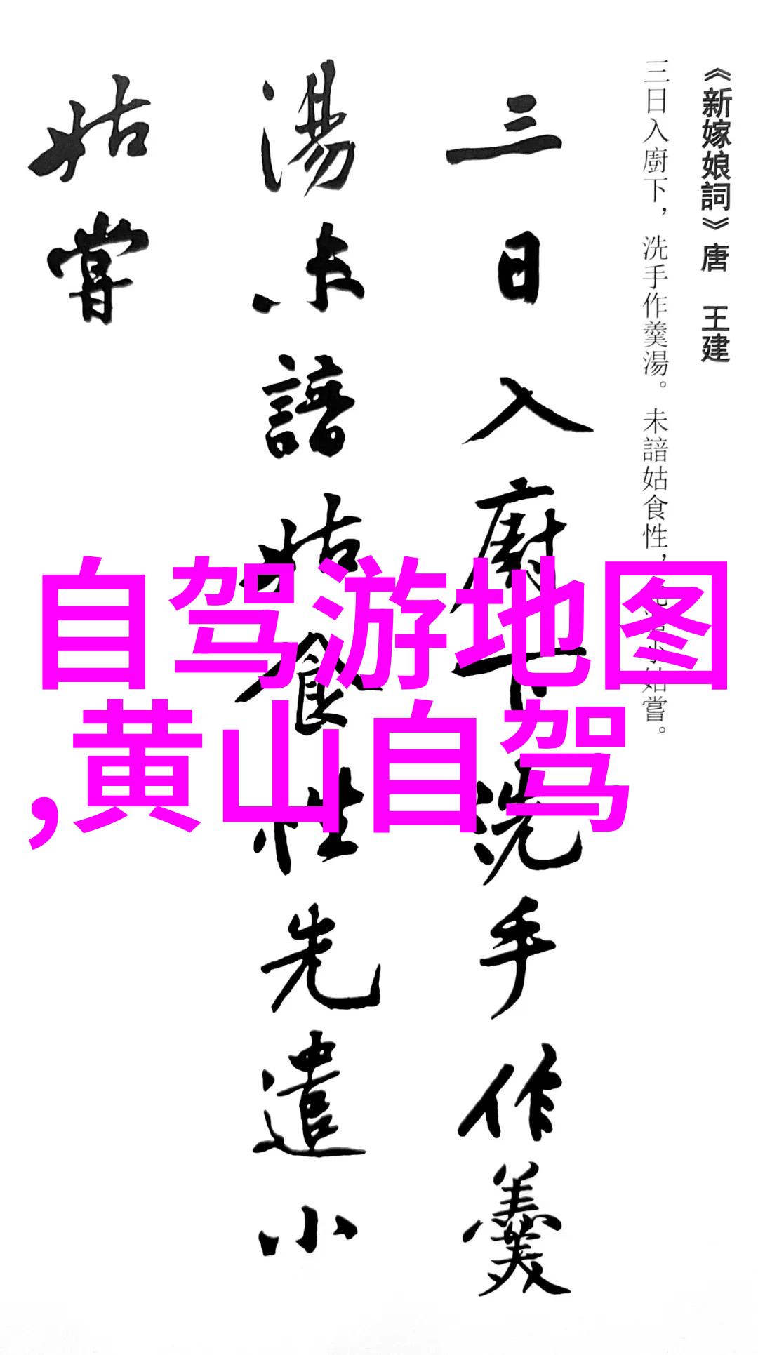 探秘银川古城走进历史的长廊感受传统魅力