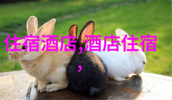 骑行安全指南防撞保暖路规知晓尽在此简