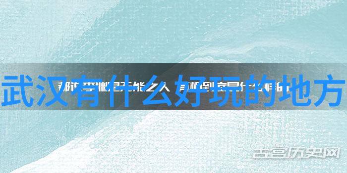 赛道上的霸主速度与激情的对决