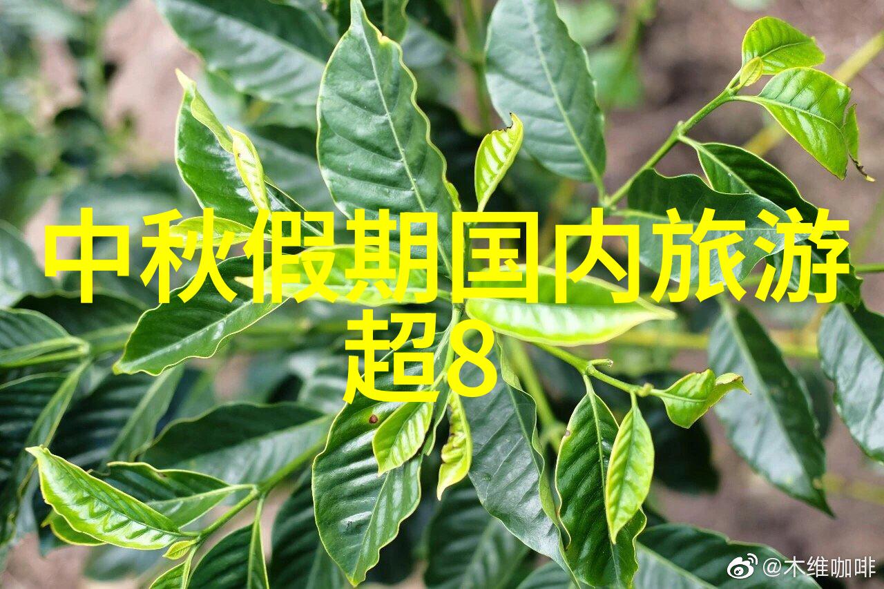 云南玉龙雪山徒步攻略准备和必备物品