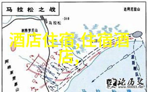 海南三亚美食体验品味海岛风情的甜蜜瞬间