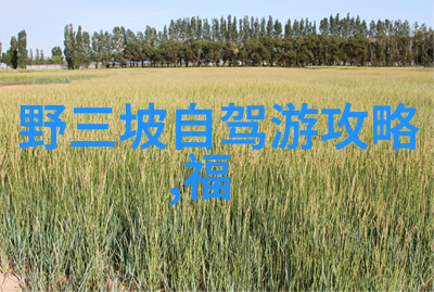 2021天津蓟洲滑雪场儿童拓展训练大冒险