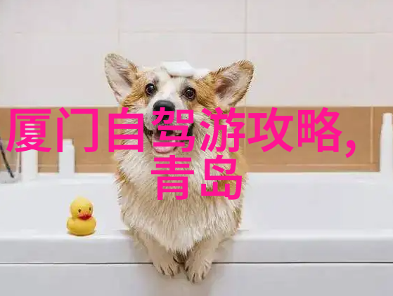 探秘大理一本不一样的洱海边旅行指南