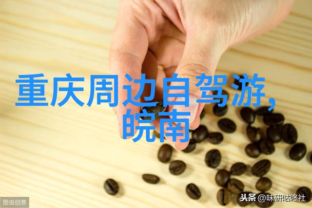 小步大进慢工出细活学习从骑行中汲取的人生智慧