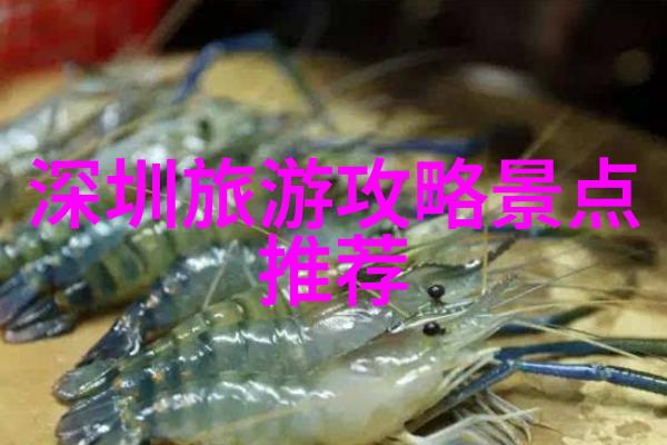 出境游-探秘全球十大迷人目的地寻找地球上最美的角落