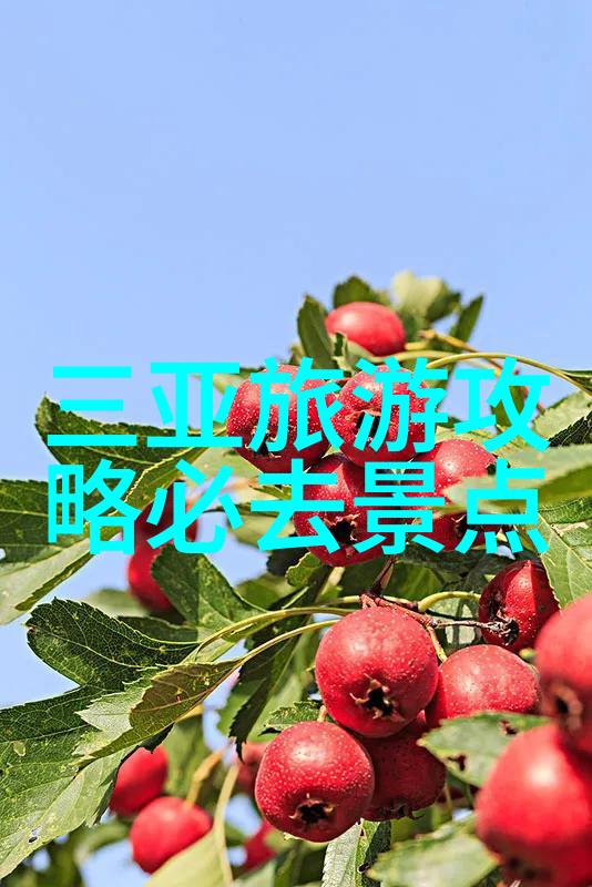 三亚旅游全攻略我在三亚的7天7夜海岛探秘美食狂欢