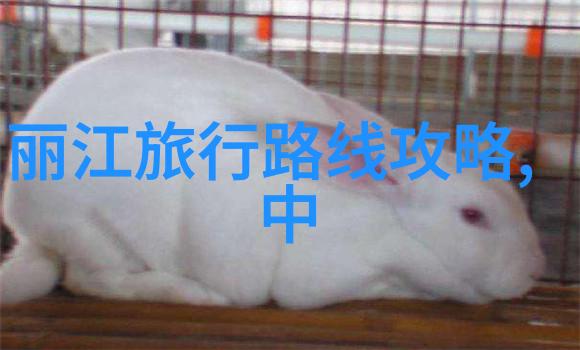 在北京的春天里走一圈五年级生写实游记