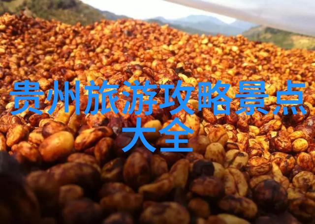 快乐成长一家三口共同参与的教育娱乐项目汇总