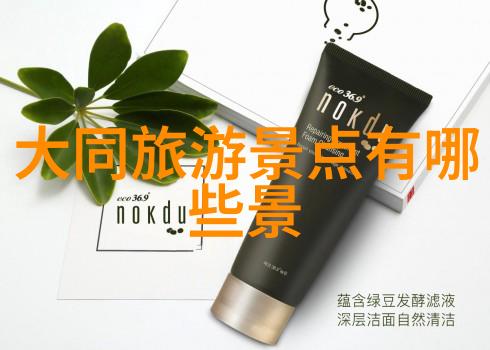 南京旅游网-探索历史与现代南京旅游网的独特旅行指南