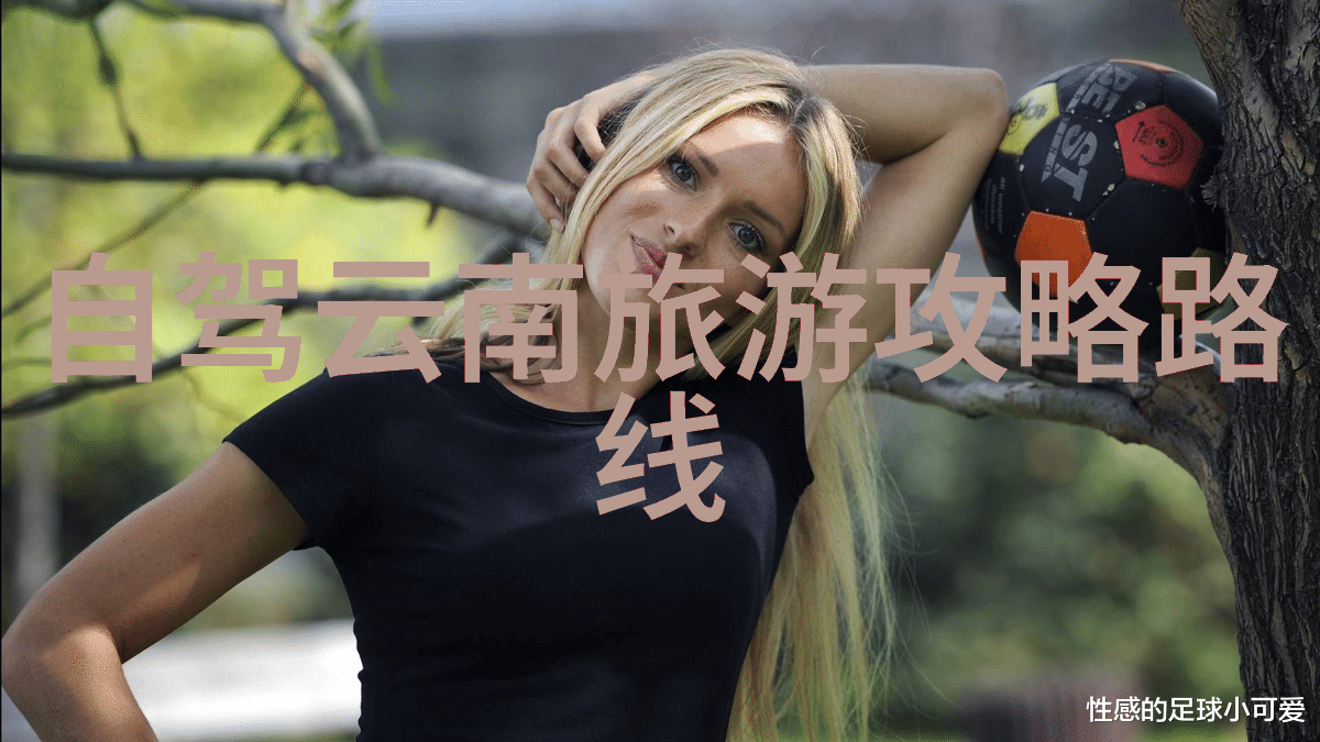 云南奇境探秘揭秘大理洱海丽江古城与香格里拉的美妙