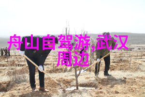 新浪旅游网我的假期规划神器
