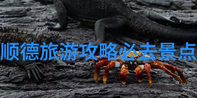 追忆中的足迹一场难忘的旅行游记