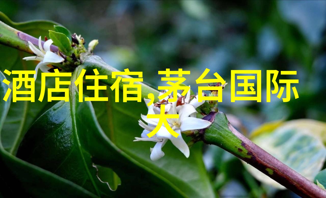 云南自由行我的风景线上的旅行日记