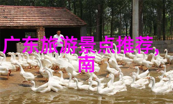 日本2023旅游团探索京都的古韵与现代魅力吗
