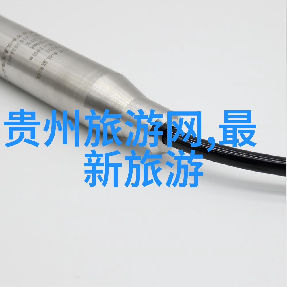 揭秘西递景区隐藏的全国导游证官网入口等你来解锁