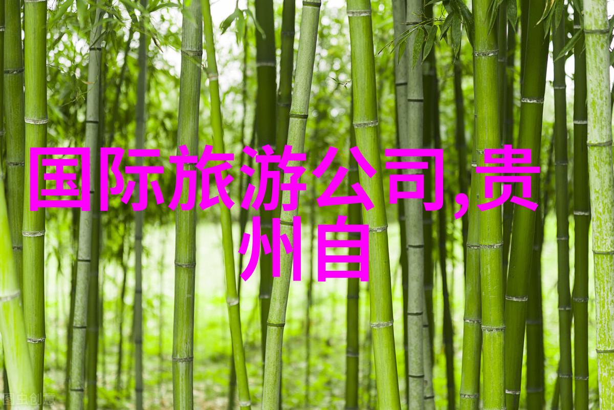探秘黄山旅游胜地隐藏在人烟稀少的地方奇特的民宿体验