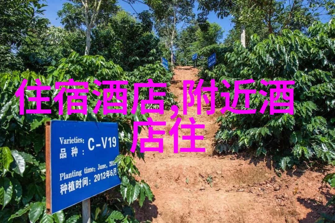 丽江大理古城风韵与洱海梦想
