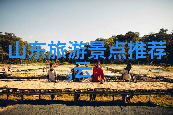 新浪旅游网 - 探索未知新浪旅游网带你深入全球奇妙目的地