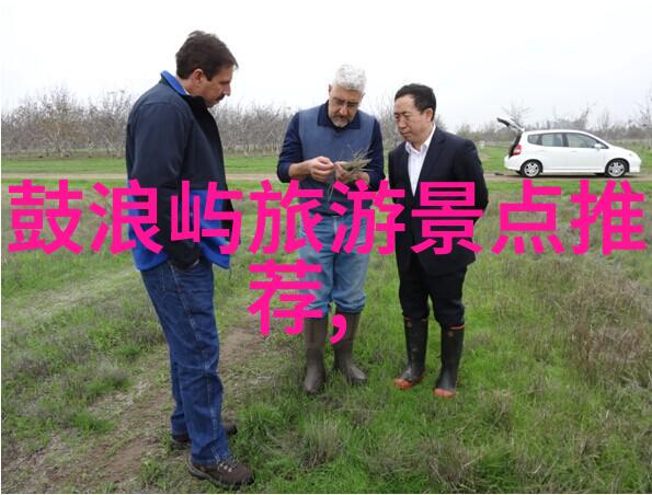 做法简单的美食-家常快手一学就会的十大美味菜谱
