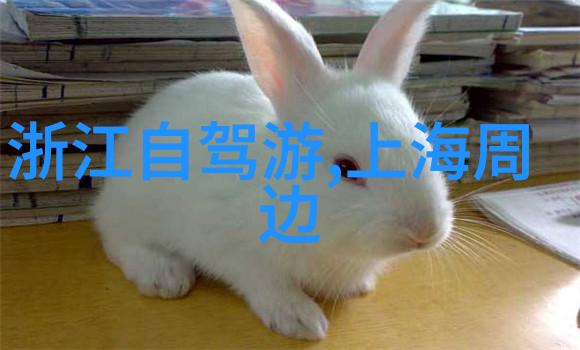 探索时光的足迹回忆一段美好旅行