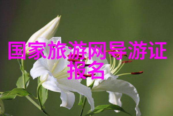 西出玉门小说我和我的故事从玉门关到世界的奇幻之旅