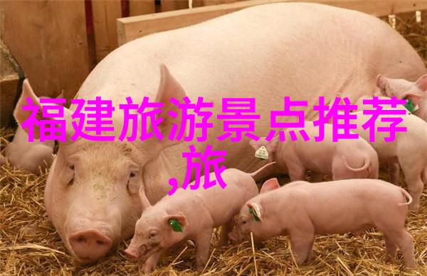 上海美食探索我在这家人气美食app官网发现了个超级好吃的秘密