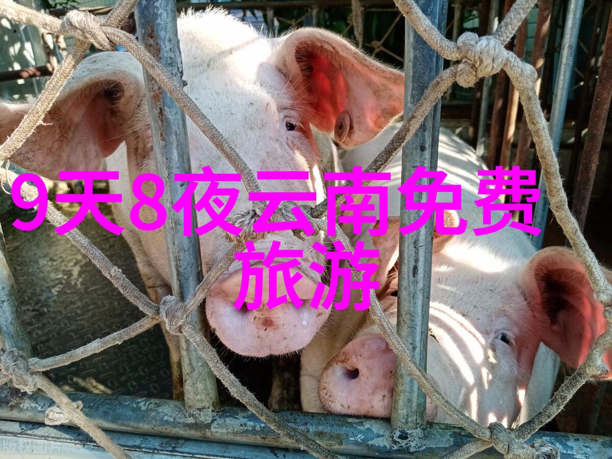 欧洲最美丽的海滩西班牙巴塞罗那的伊斯蒂尔公园海滩