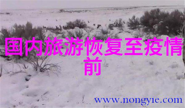 冬天最适合旅游的地方 - 绽放的雪花梦探秘世界上最美丽的冬季旅游胜地