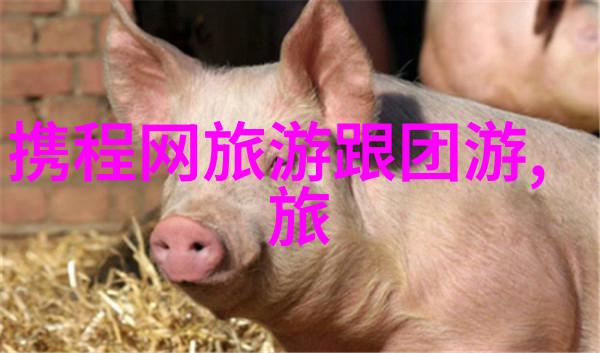 在数字风暴中寻找那辆属于你的骑行伴侣app骑行软件下载的迷雾之谜