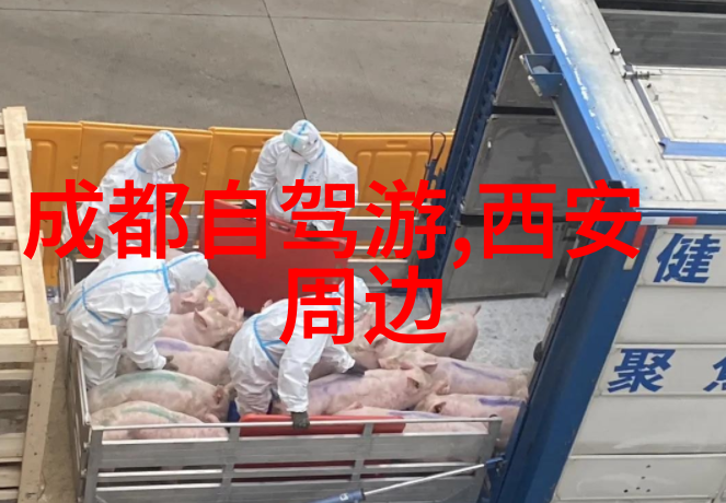 宜昌旅游攻略 - 探索三峡之冠宜昌市区必游景点