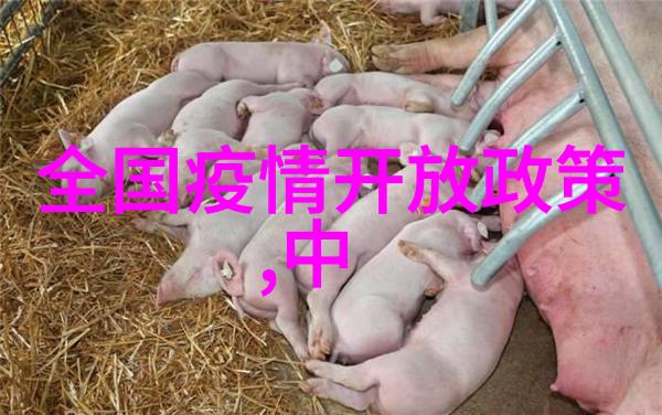 四川自驾游探索大美四川的奇迹与风情