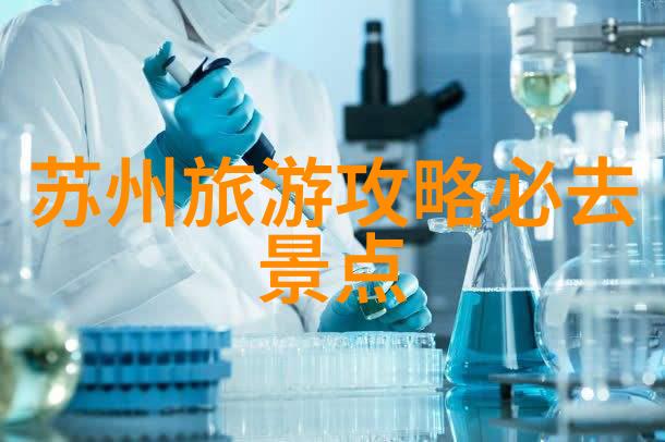 寻找传统的味道一段关于春节文化的探索之旅