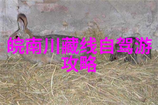 重庆疫情最新消息-重庆疫情最新消息防控措施升级市民需提前做好准备