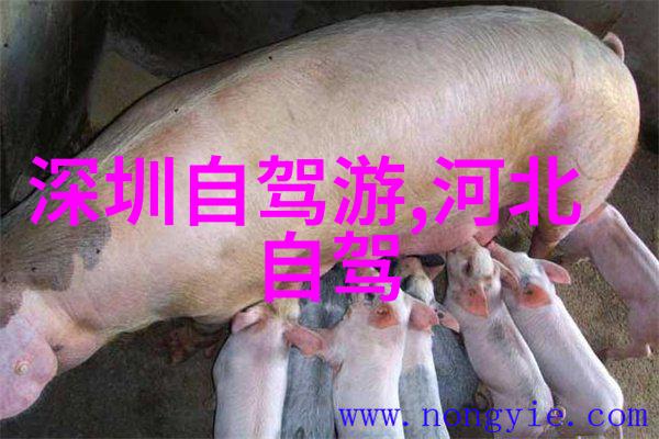 大连美丽风光自由行攻略必备指南