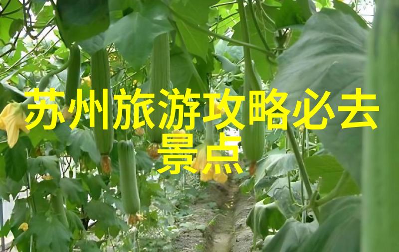 美丽姑娘视频观看完整版总结