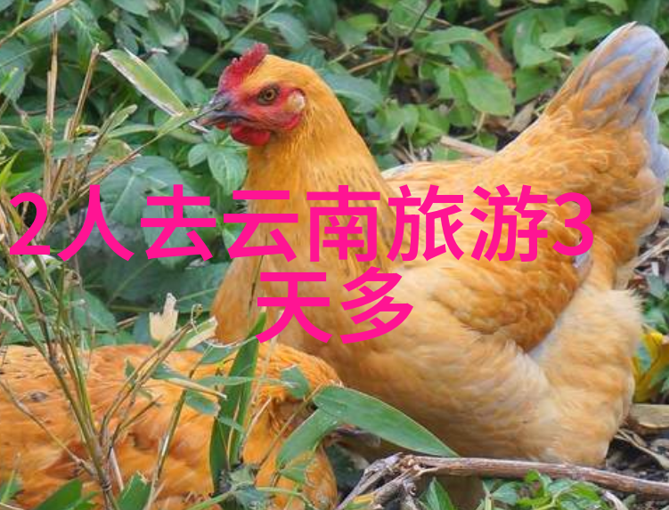 泰山在哪亲自去找它吧
