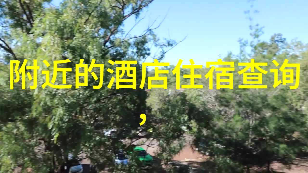 森林法则团队合作的自然课堂