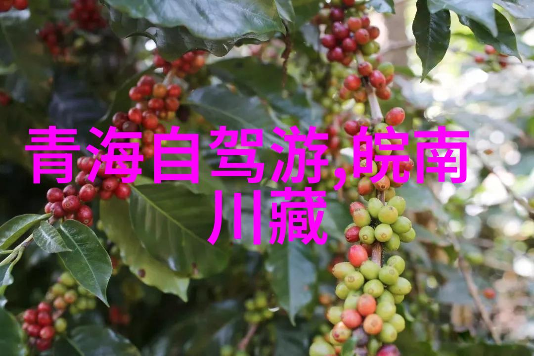 翠峦回响桂林之旅的摄影指南