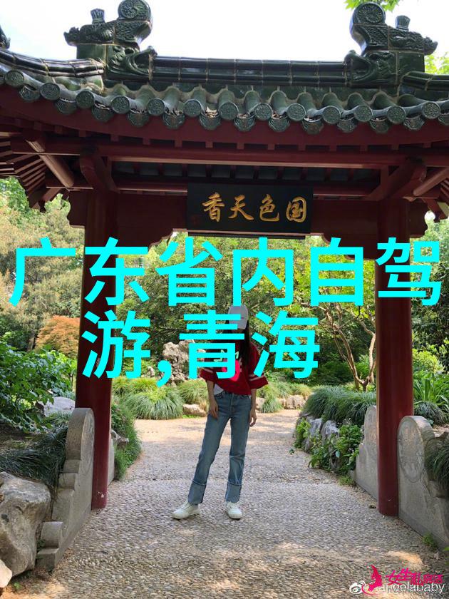 骑行风尚追逐自由的轮廓